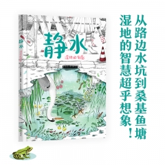 静水:湿地的倒影